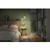 Ledvance DECOR Wand- en plafondlamp Goud, Zwart, 1-licht