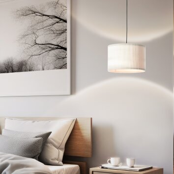 Briljante lampen Tony Hanglamp Zwart, 1-licht