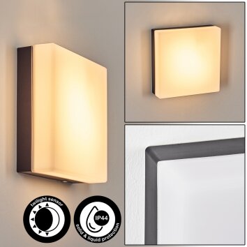 Sneslev Wandlamp voor buiten, Wandlamp Zwart, 1-licht, Bewegingsmelder