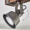 Pehefito Plafondlamp, Plafondspot Donkerbruin, Grijs, 4-lichts