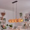 Cardeira Hanglamp, Hanglamp Zwart, 4-lichts