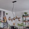 Chehalis Hanglamp, Kogellampje, Hanglamp Chroom, Rookkleurig, 8-lichts