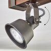 Pehefito Plafondlamp, Plafondspot Donkerbruin, Grijs, 6-lichts