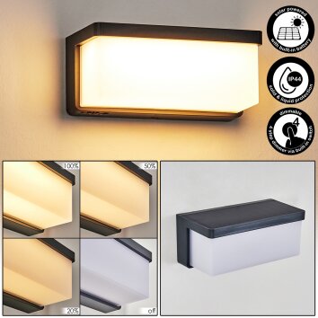 Rifbjerg Wandlamp voor buiten, Wandlamp, Muurspot LED Zwart, 1-licht