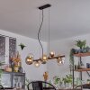 Chehalis Hanglamp, Kogellampje, Hanglamp Amber, Duidelijk, Rookkleurig, 8-lichts