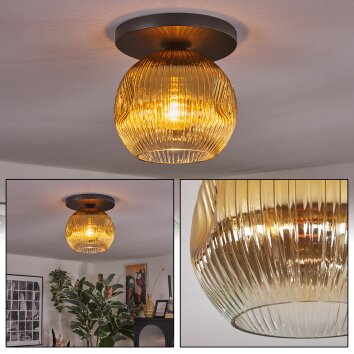 Ripoll Plafondlamp, Kogellampje Goud, Duidelijk, 1-licht