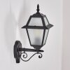 Fornelos Buitenlicht, Wandlamp voor buiten, Wandlamp Zwart, 1-licht