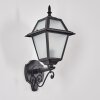 Fornelos Buitenlicht, Wandlamp voor buiten, Wandlamp Zwart, 1-licht