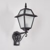 Fornelos Buitenlicht, Wandlamp voor buiten, Wandlamp Zwart, 1-licht, Bewegingsmelder