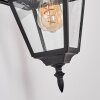 Fornelos Buitenlicht, Wandlamp voor buiten, Wandlamp Zwart, 1-licht