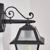 Fornelos Buitenlicht, Wandlamp voor buiten, Wandlamp Zwart, 1-licht