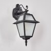 Fornelos Buitenlicht, Wandlamp voor buiten, Wandlamp Zwart, 1-licht