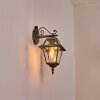 Fornelos Buitenlicht, Wandlamp voor buiten, Wandlamp Goud, Zwart, 1-licht