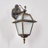 Fornelos Buitenlicht, Wandlamp voor buiten, Wandlamp Goud, Zwart, 1-licht