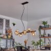 Chehalis Hanglamp, Kogellampje, Hanglamp Amber, Duidelijk, 8-lichts