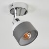 Ailer Plafondlamp, Plafondspot Chroom, 1-licht