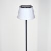 Longchamps Staande lamp LED Zwart, 1-licht