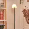 Longchamps Staande lamp LED Zwart, 1-licht