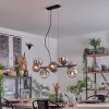 Koyoto Hanglamp, Kogellampje, Hanglamp Chroom, Duidelijk, Rookkleurig, 8-lichts