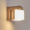 Swanek Wandlamp voor buiten, Wandlamp LED Roest, 1-licht