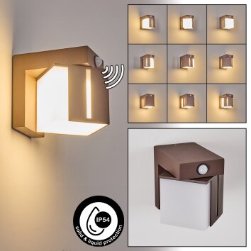 Swanek Wandlamp voor buiten, Wandlamp LED Roest, 1-licht, Bewegingsmelder