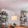 Alera Hanglamp, Hanglamp Wit, 1-licht