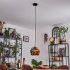 Alven Hanglamp, Hanglamp Zwart, 1-licht