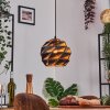 Alven Hanglamp, Hanglamp Zwart, 1-licht