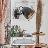 Bjedstrup Plafondspot, Wandlamp, Wandspot Zwart, 1-licht