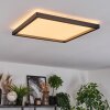 Xarel Plafondlamp, Paneel LED Zwart, 1-licht