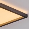 Xarel Plafondlamp, Paneel LED Zwart, 1-licht