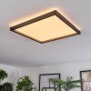 Xarel Plafondlamp, Paneel LED Zwart, 1-licht