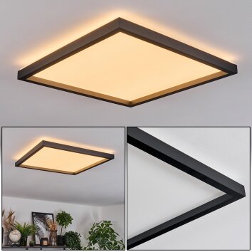 Xarel Plafondlamp, Paneel LED Zwart, 1-licht