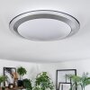 Calen Plafondlamp, Plafondspot LED Wit, 1-licht