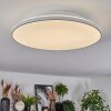 Norea Plafondlamp, Plafondspot LED Wit, 1-licht