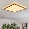 Antra Plafondlamp, Paneel LED Goud, 1-licht