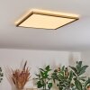 Antra Plafondlamp, Paneel LED Goud, 1-licht