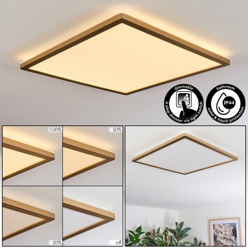 Antra Plafondlamp, Paneel LED Goud, 1-licht