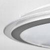 Arima Plafondlamp LED Grijs, Wit, 1-licht