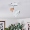 Alyra Plafondlamp, Plafondspot Wit, 1-licht