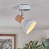 Alyra Plafondlamp, Plafondspot Wit, 1-licht