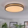 Kirtland Plafondlamp LED Goud, Zwart, 1-licht