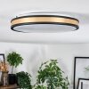 Kirtland Plafondlamp LED Goud, Zwart, 1-licht