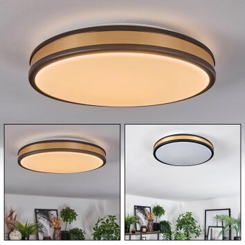 Kirtland Plafondlamp LED Goud, Zwart, 1-licht