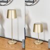 Belece Buiten tafellamp, Tafellamp LED Goud, 1-licht