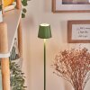 Allen Staande lamp LED Groen, 1-licht