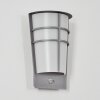 Lamarche Wandlamp voor buiten, Wandlamp LED Grijs, 2-lichts, Bewegingsmelder