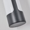 Biran Wandlamp voor buiten, Wandlamp LED Antraciet, 1-licht