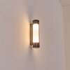 Biran Wandlamp voor buiten, Wandlamp LED Antraciet, 1-licht