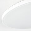 Borel Plafondlamp LED Wit, 1-licht